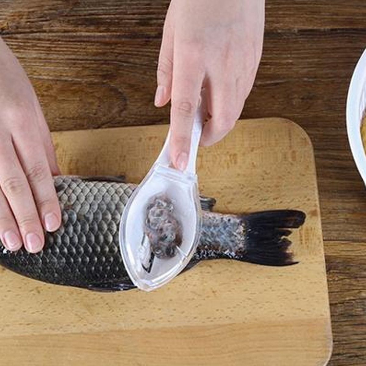 Fish Scale Remover Scraper with Collecting Case and Lid
