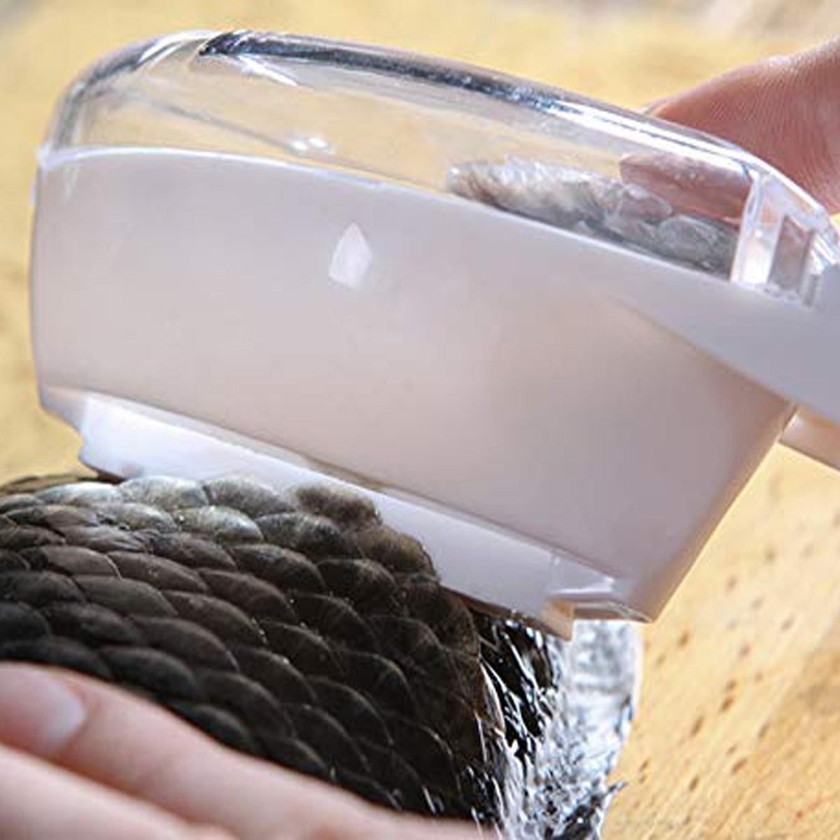 Fish Scale Remover Scraper with Collecting Case and Lid, photo 3